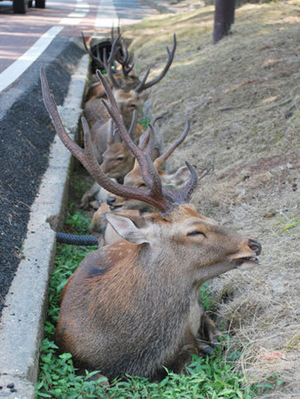 20100824-00000029-minkei-000-view.jpg